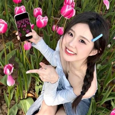 柳叶摘星辰